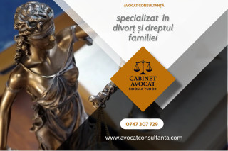 Avocat Consultanta Juridica Online pentru Romanii din Diaspora